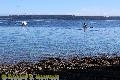 Chemainus Orcas